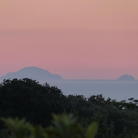 Gullo Capo Vaticano Hotel Ricadi Bagian luar foto